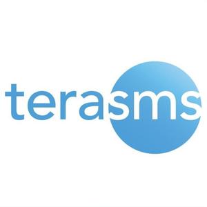 TeraSMS. Система доставки сообщений