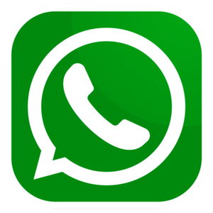 WhatsApp (переписка и автоматическая отправка сообщений)